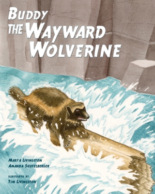 -- Buddy, the Wayward Wolverine -- by Mary A Livingston and Amanda Shufelberger. Illustrated by Tim Livingston.  2013 Red Tail Publishing